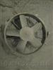 RADIATOR FAN
