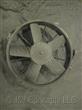 RADIATOR FAN