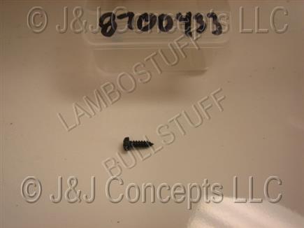 Lock Screw  2.9x9.5din7981/Cr