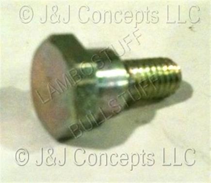 Special Screw