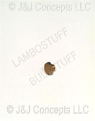 CO Inlet Threaded Coupling Cap