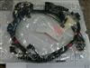 IGNITION ENGINE WIRE HARNESS