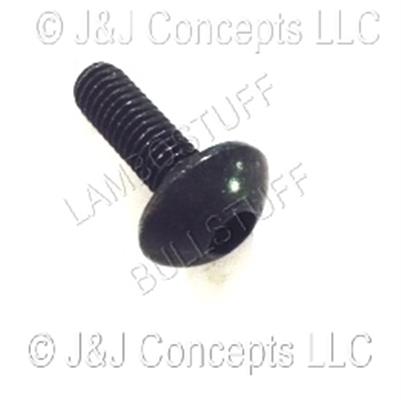 Screw Fr M5 Tb 12x15