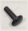 Gear Selector Fastening Screw