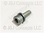 SCREW WITH WASHER