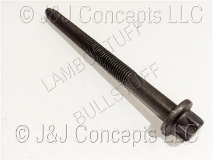MAIN SCREW
