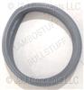 FUEL PUMP SEAL