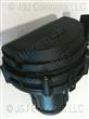 SECONDARY AIR PUMP