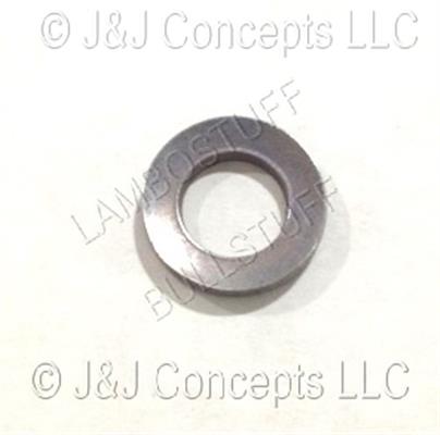DISK SPRING