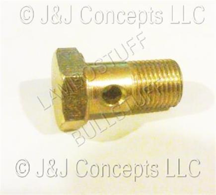 Fuel Pump Union Screw