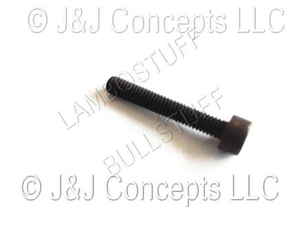 PAN HEAD BOLT