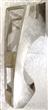 Right Rear Fender
