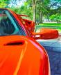 Diablo canvas print 18 in by 22 in