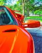Diablo canvas print 39 in by 32 in