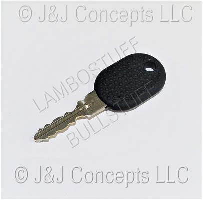 AIRBAG KEY